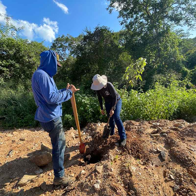 Engenheira ambiental e ajudante abrindo cova para plantio de árvores.