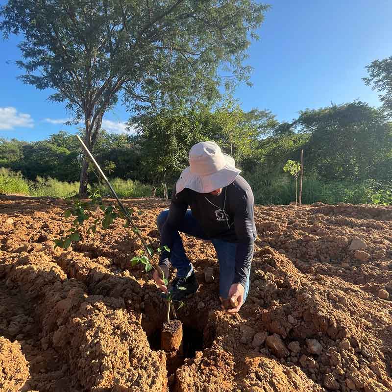 Engenheiro de minas plantando uma muda de árvore.